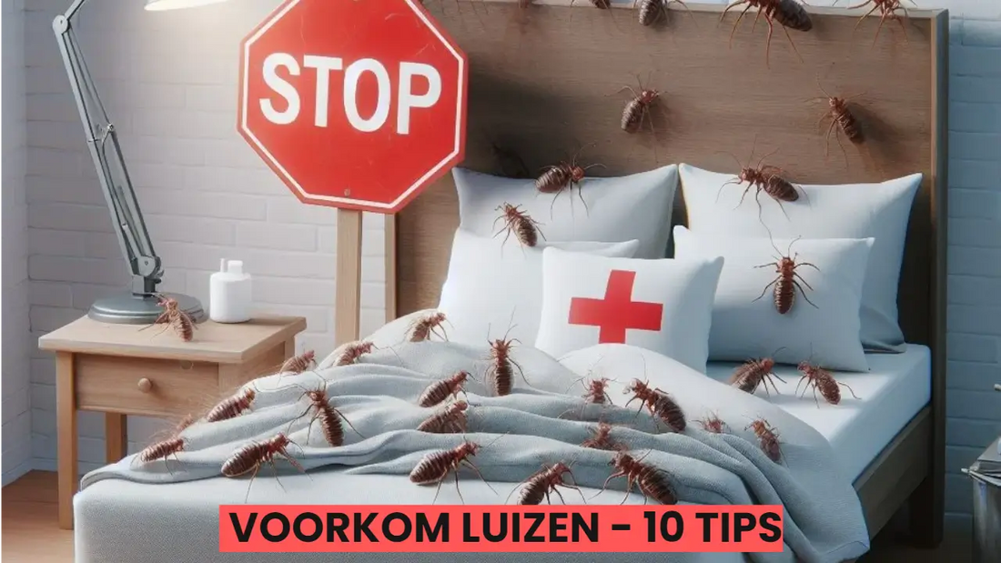 Luizen 10 Onmisbare Tips om Luizen Te Voorkomen – Luizenweg